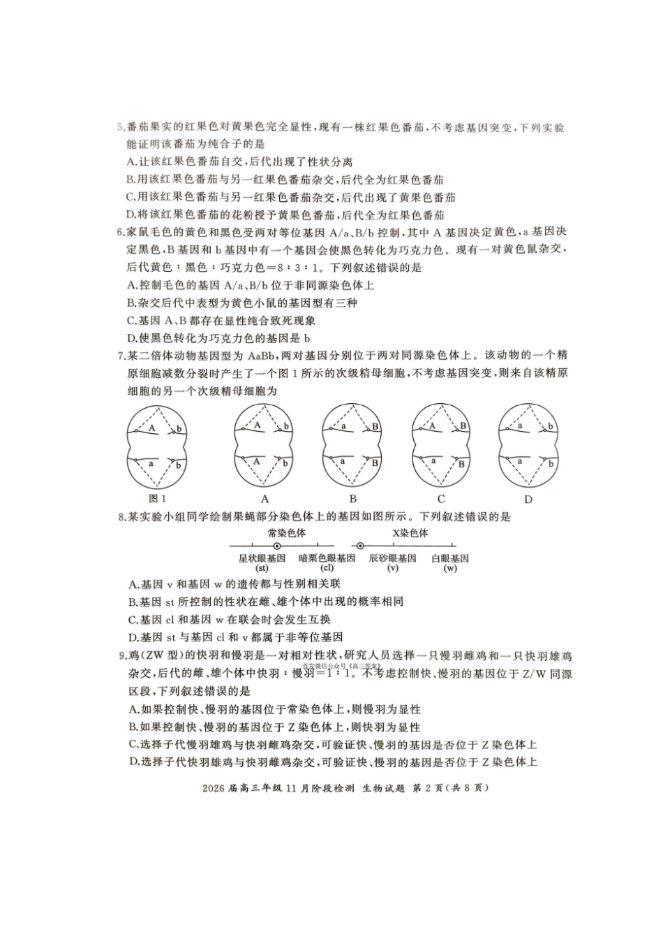 E卷-生物试题.pdf_第2页