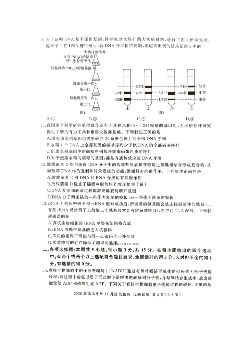 E卷-生物试题.pdf_第3页
