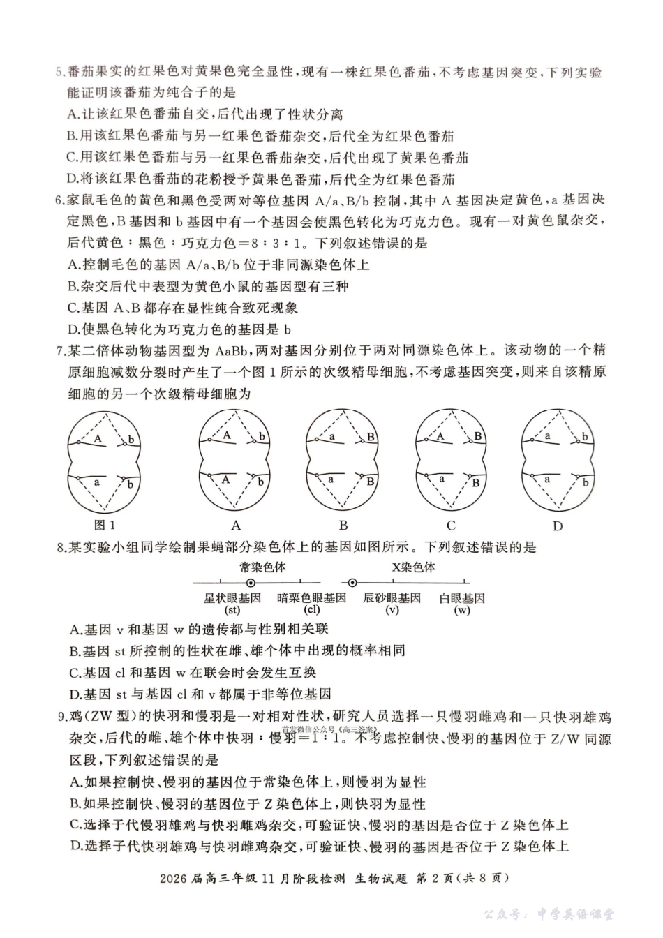 百师联盟2026届高三年级11月阶段检测生物.pdf_第2页