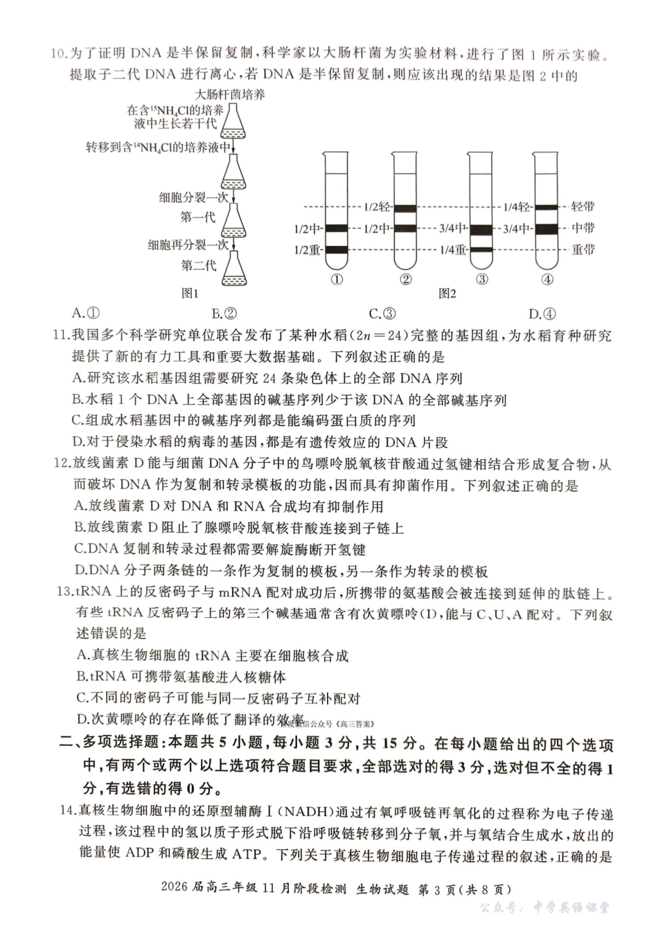 百师联盟2026届高三年级11月阶段检测生物.pdf_第3页