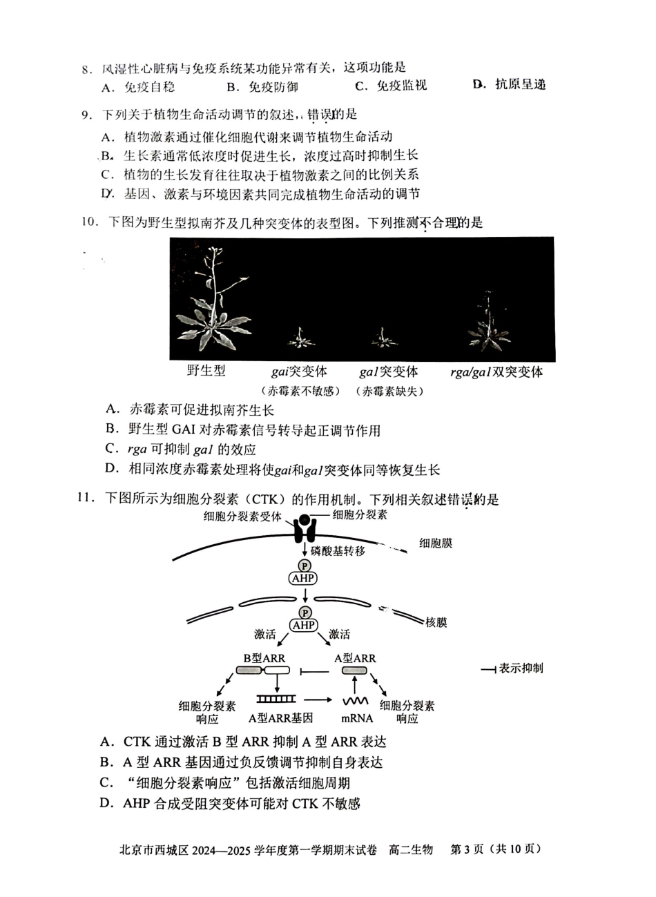 北京市西城区2024-2025学年高二上学期期末考试生物试卷（含答案）.pdf_第3页