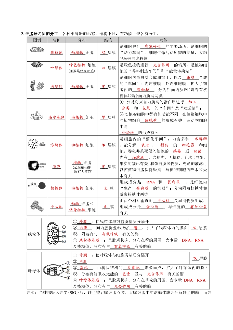 第3章细胞的基本结构-【必背知识】高一生物章节知识梳理（人教版必修第一册）（背诵版）.docx_第3页