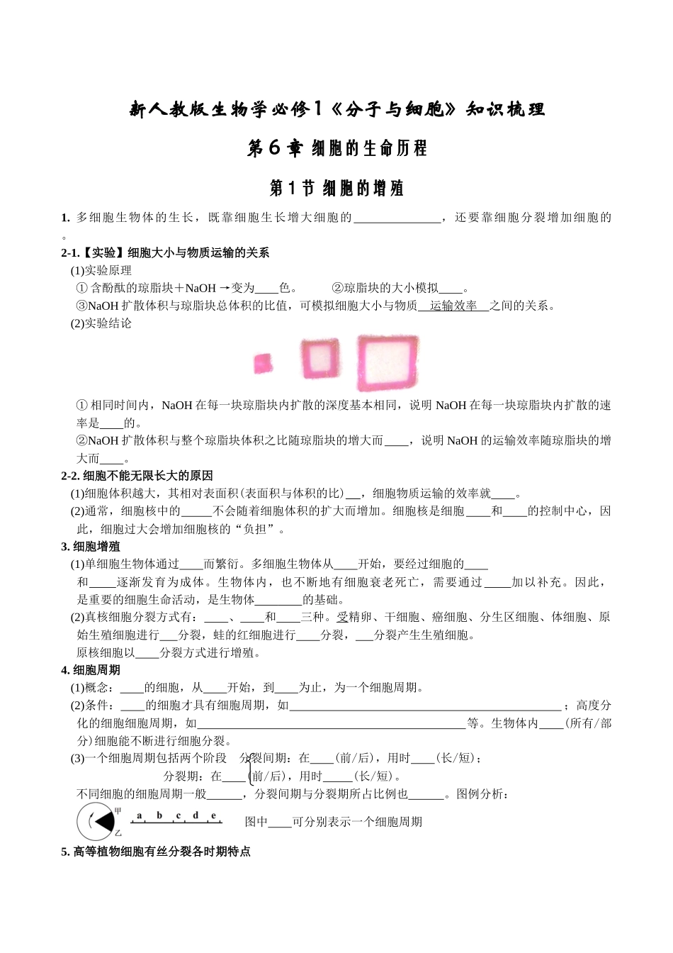 第6章细胞的生命历程-【必背知识】高一生物章节知识梳理（人教版必修第一册）（填空版）.docx_第1页