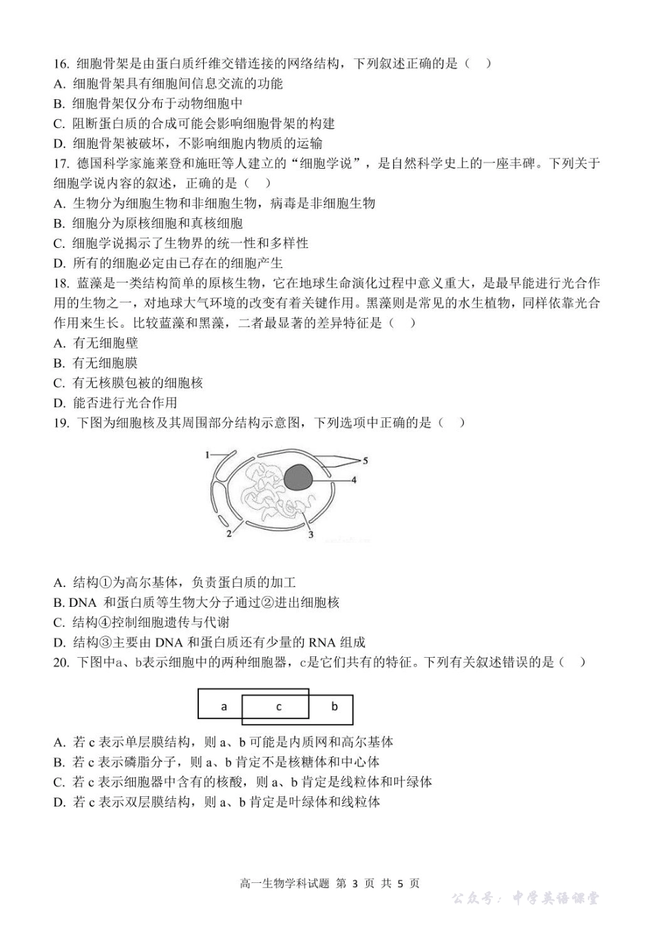 高一生物试题.pdf_第3页