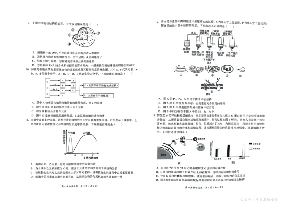 广西示高2025年秋季期中高一联考生物.pdf_第2页