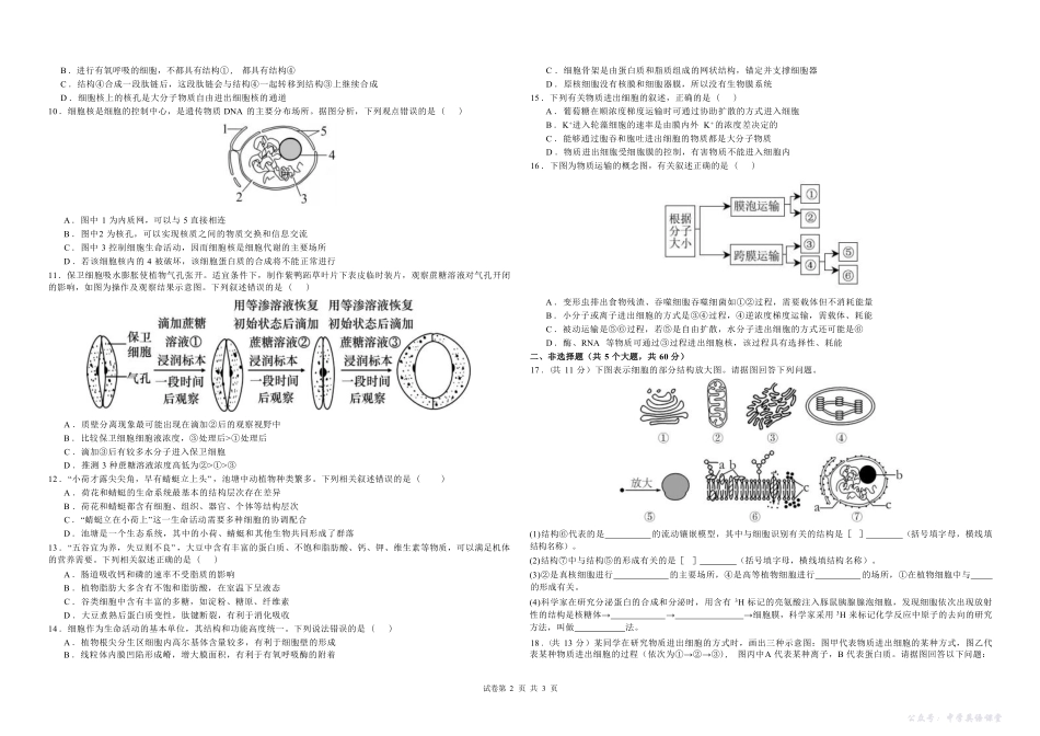 桂林师大附中2025年秋季期中高一生物试卷.pdf_第2页