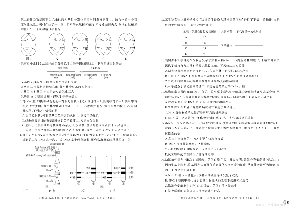 河南省百师联盟2026届高三年级11月阶段检测生物.pdf_第2页