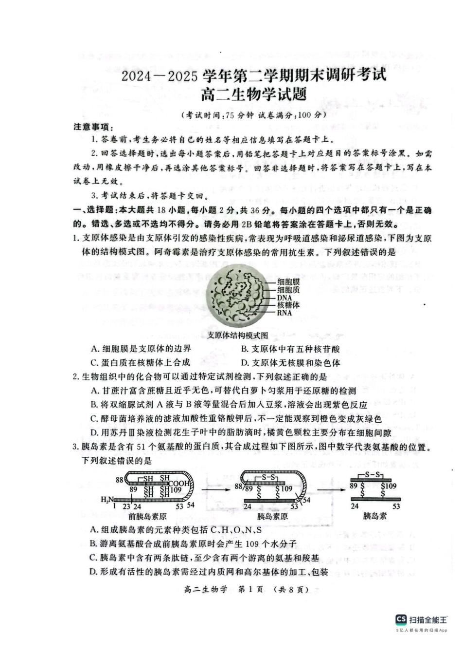 河南省开封市2024-2025学年高二下学期期末调研生物+答案.pdf_第1页