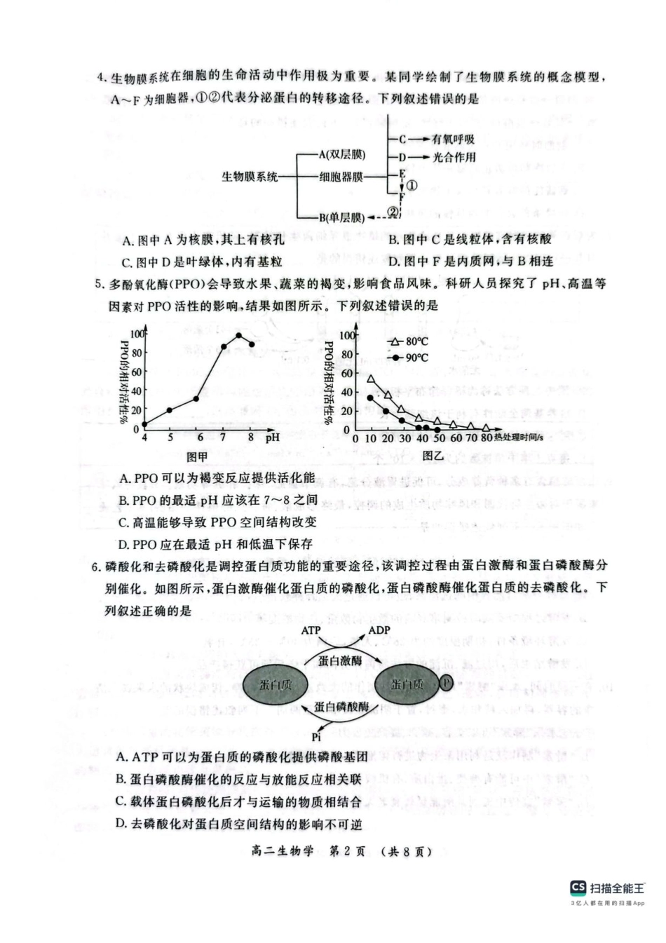 河南省开封市2024-2025学年高二下学期期末调研生物+答案.pdf_第2页