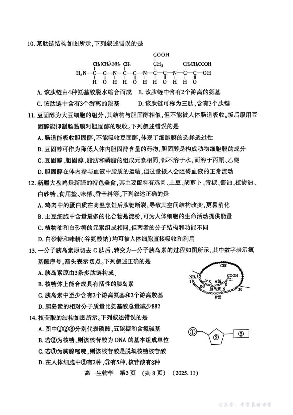 河南省洛阳市2025—2026学年第一学期11月期中考试高一生物试卷.pdf_第3页