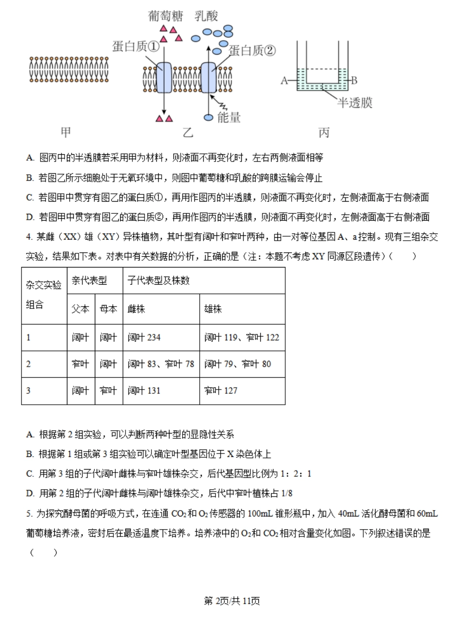 河南省许昌市魏都区许昌高级中学2024-2025学年高二上学期开学检测生物试题（原卷版）.pdf_第2页