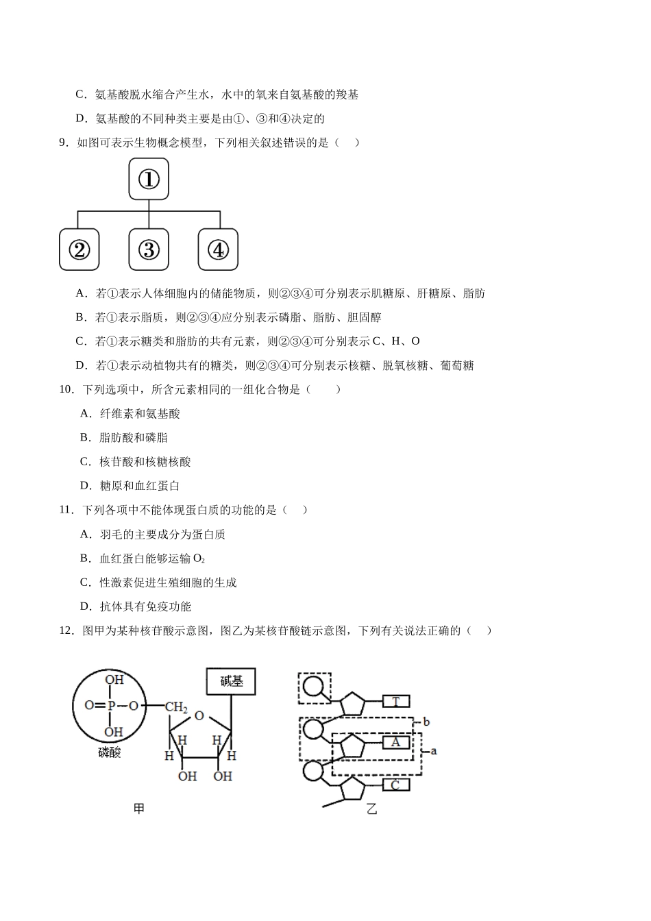 河南省郑州市十校联考2025-2026学年高一上学期11月期中考试生物试卷(含答案).docx_第3页