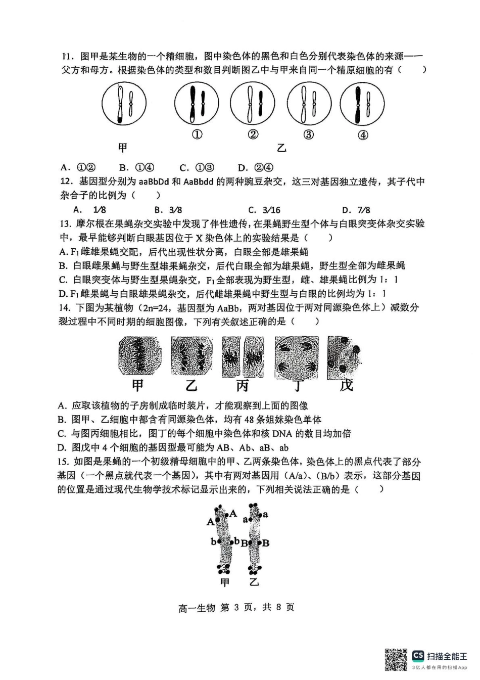 黑龙江省哈尔滨市第三中学校2024-2025学年高一下学期4月月考生物试题.pdf_第3页