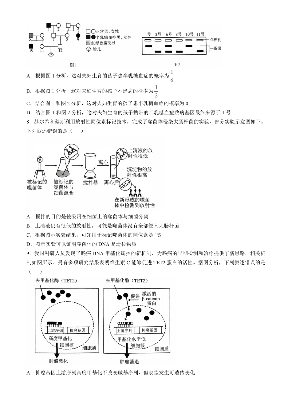 华大新高考联盟2025届高三上学期11月教学质量测评生物试卷.pdf_第3页