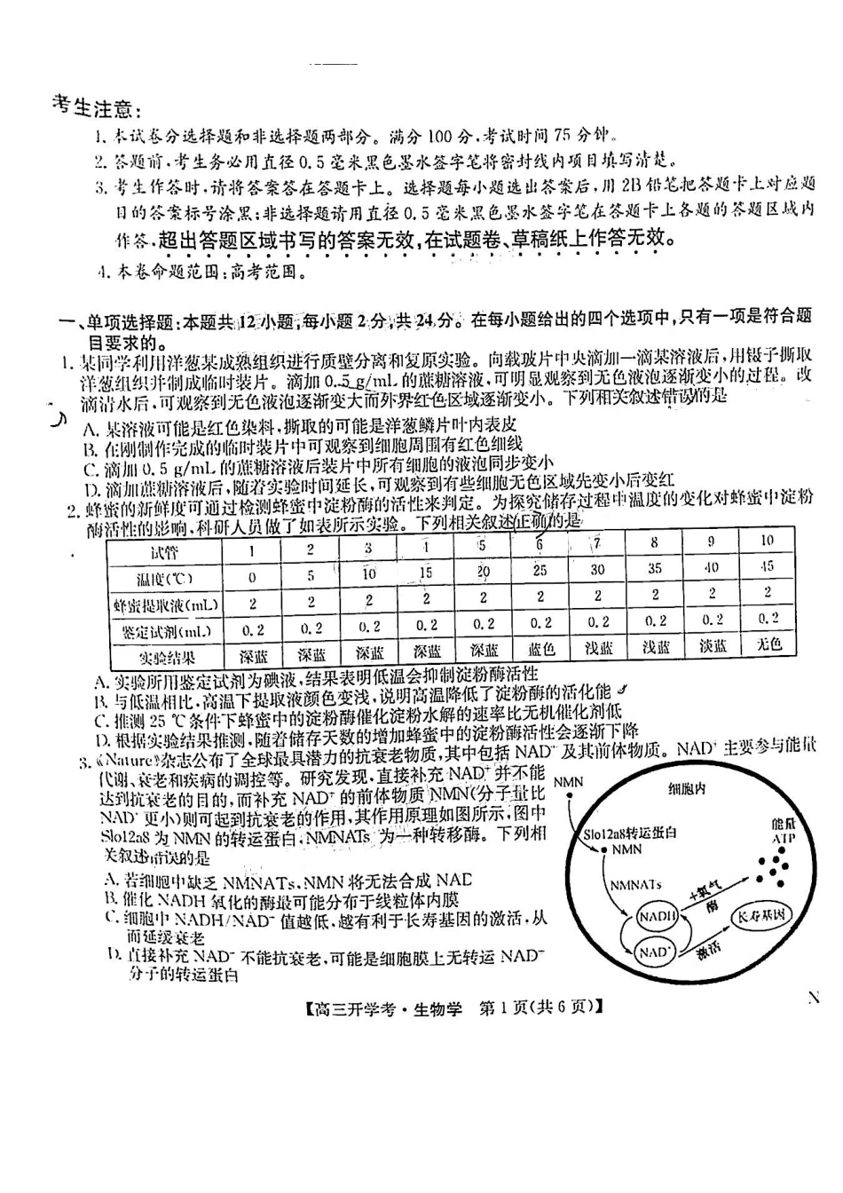 江西省九师联盟2025届高三8月开学联考暨河南省开封市开封五县考2024-2025学年高三上学期开学联考生物试卷+答案.pdf_第1页
