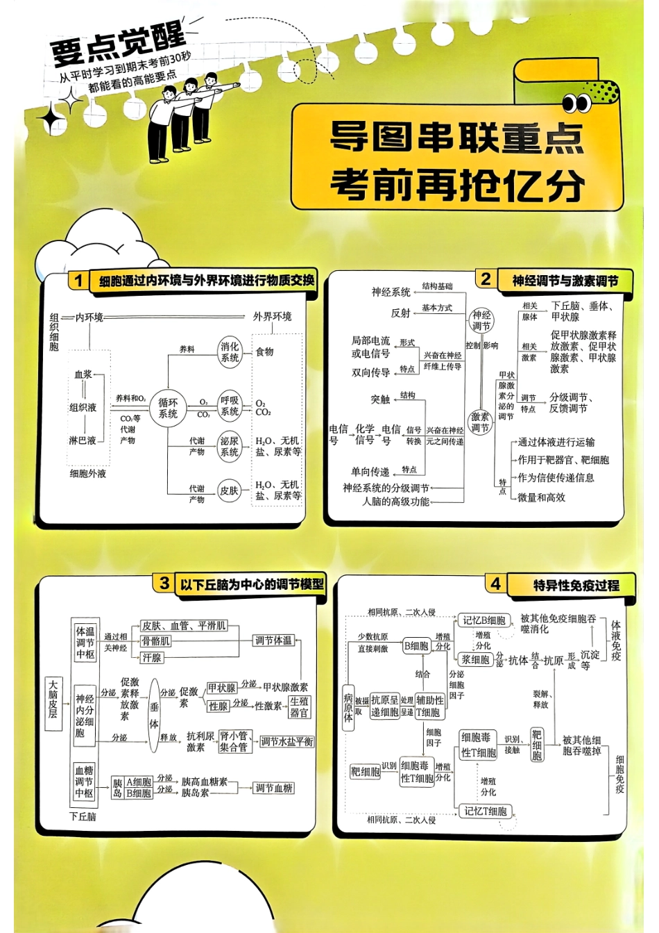 解题觉醒高中生物选择性必修1人教版要点觉醒.pdf_第1页