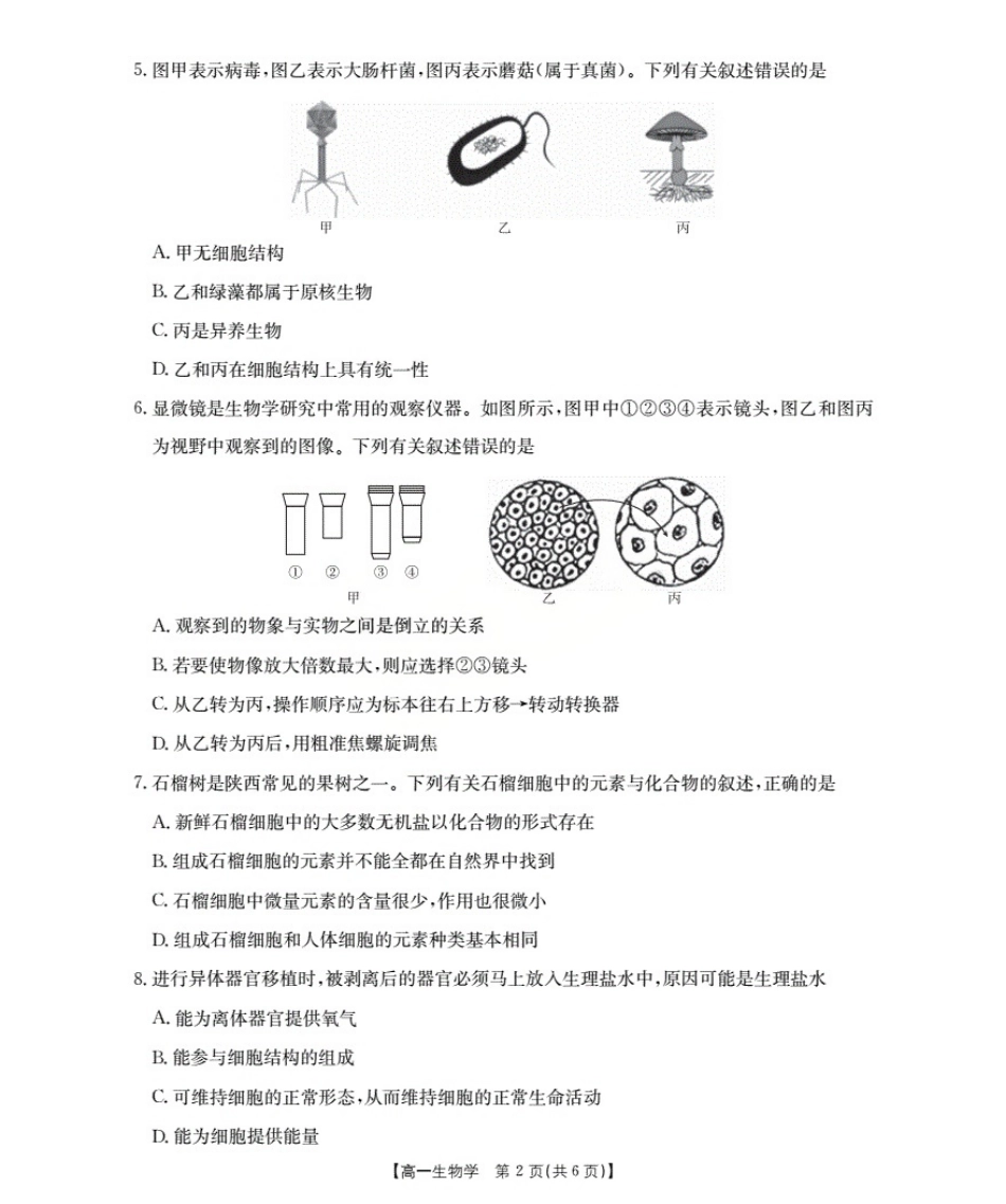 金太阳26-55A2028届高一年级上学期10月联考生物试卷.pdf_第2页