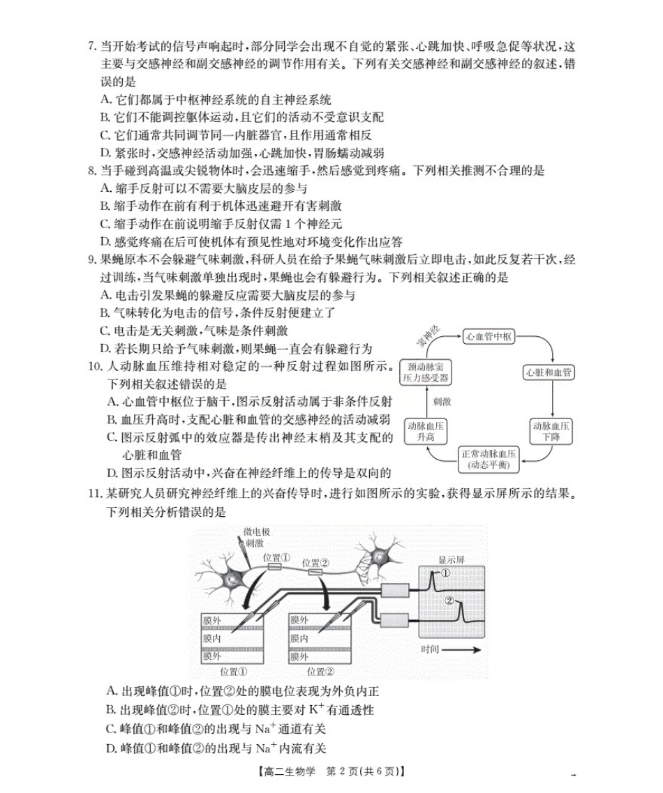 金太阳26-70B2027届高二上学期11月联考生物.pdf_第2页