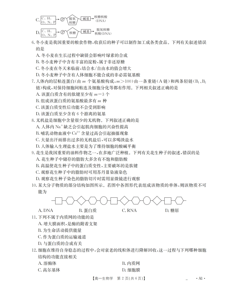 辽宁省2025-2026学年高一上学期11月联考(26-108A)生物.pdf_第2页