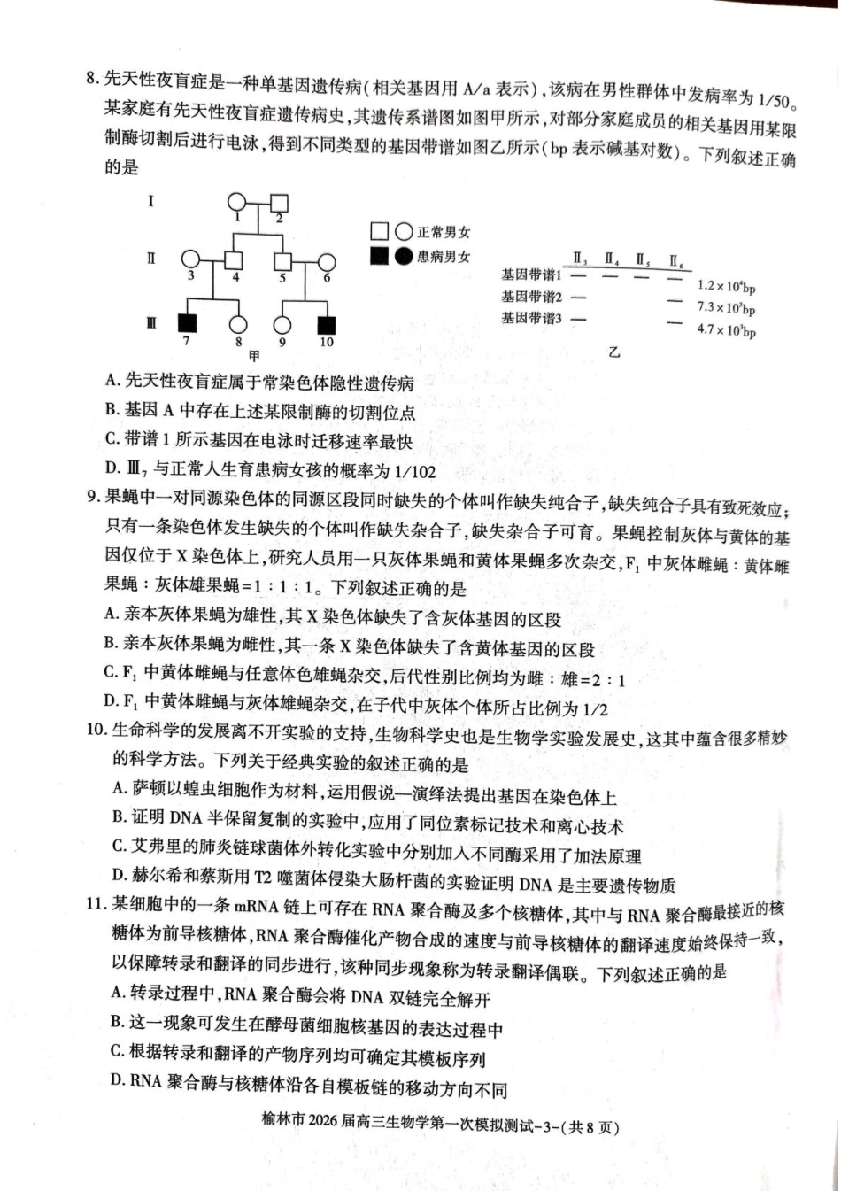 陕西省榆林市2026届高三上学期第一次模拟测试生物试卷(含解析).pdf_第3页