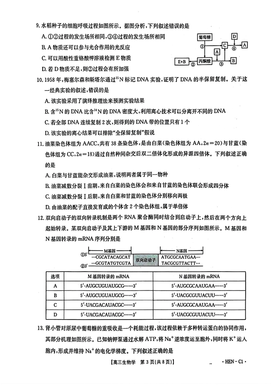 生物试卷(下班HEN-C1)金太阳(下标HEN-C1)2026届高三年级11月大联考暨期中联考(1.13-11.14).pdf_第3页