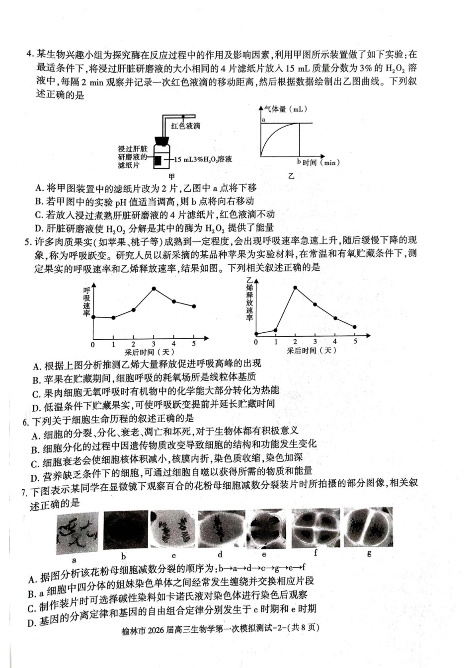 生物试卷+解析答案陕西省榆林市2026届高三年级上学期第一次模拟测试(榆林一模)(11.14-11.15).pdf_第2页
