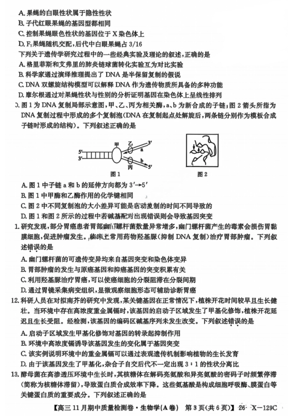 生物试卷26-X-129C2025-2026学年高三11月期中质量检测卷(11.6-11.7).pdf_第3页
