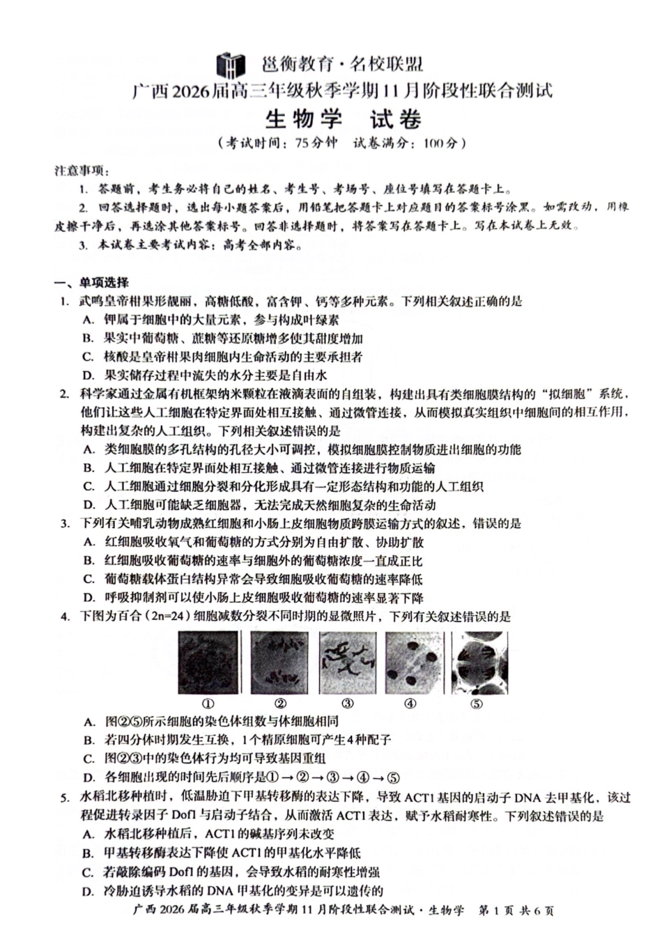 生物试卷广西邕衡教育名校联盟广西2026届高三年级秋季学期11月阶段性联合测试(11.25-11.26).pdf_第1页