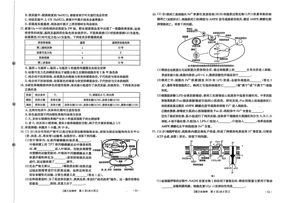 生物试卷-河北金太阳高三年级上学期9月联考.pdf_第3页