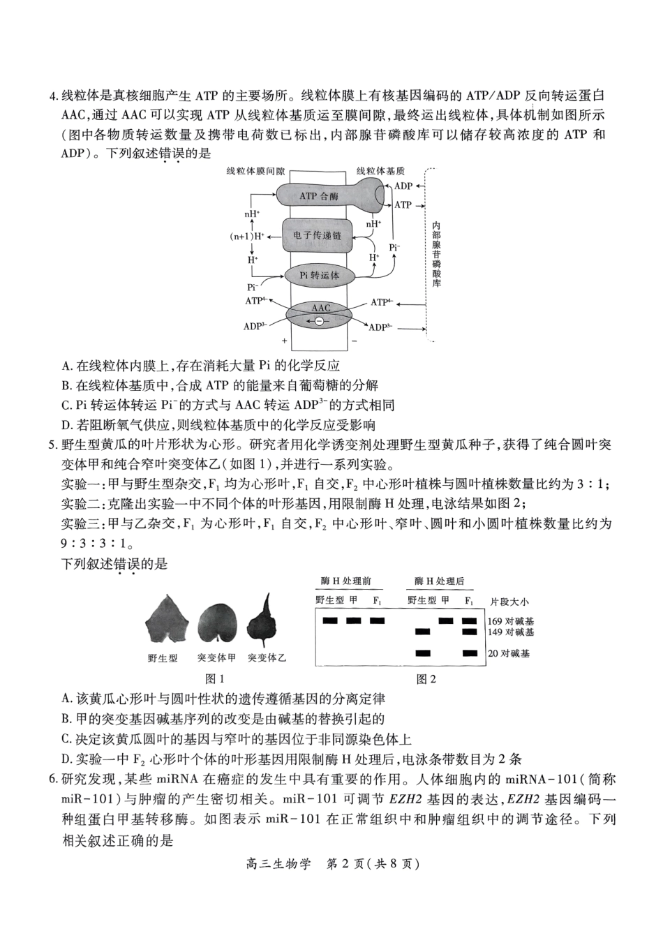 生物试卷江西省稳派上进联考2025届高三年级5月联合测评(5.8-5.9).pdf_第2页