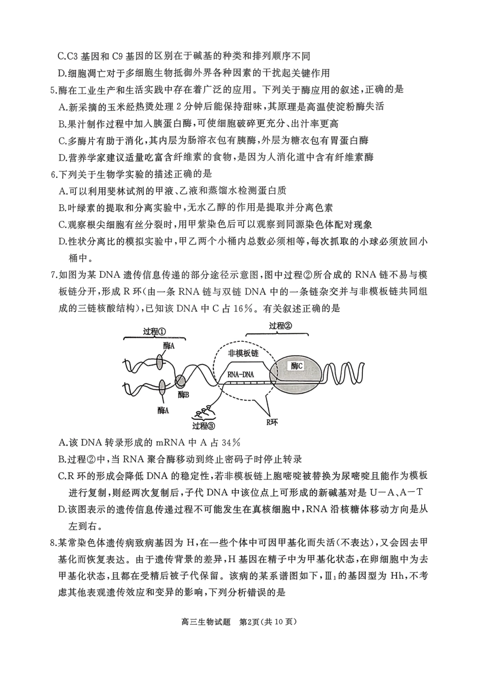 生物试卷山东省枣庄市滕州市2026届高三定时训练(11月)暨2025-2026学年高三期中质量检测（11.19-11.21）.pdf_第2页