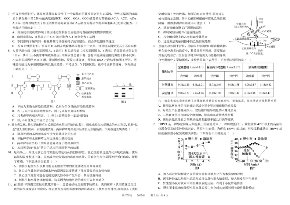 生物试卷四川省成都市树德中学高2023级(2026届)高三上学期11月阶段性测试(11.21-11.22).pdf_第2页
