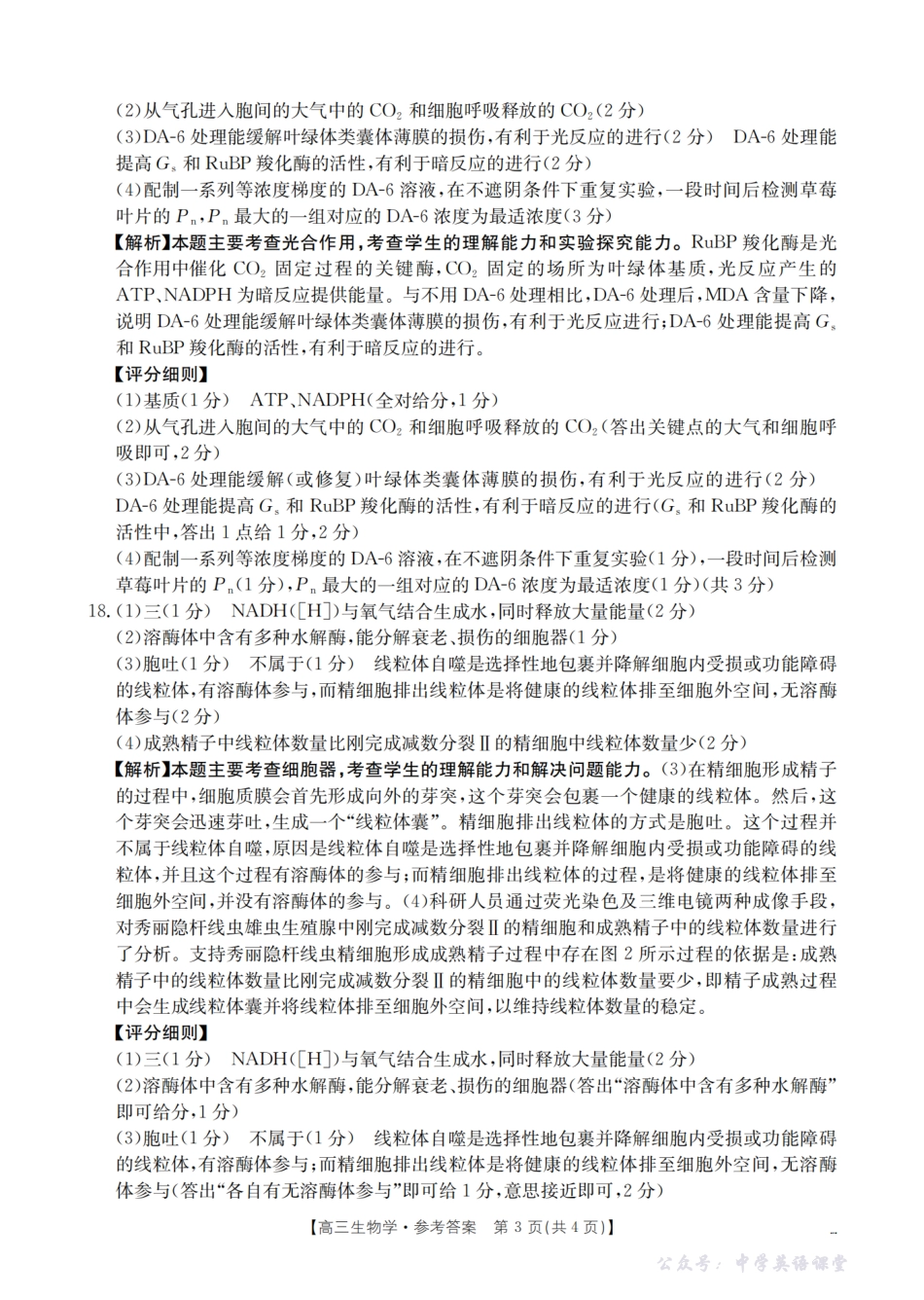 四川省2026届高三上学期11月联考(26-93C)生物答案.pdf_第3页