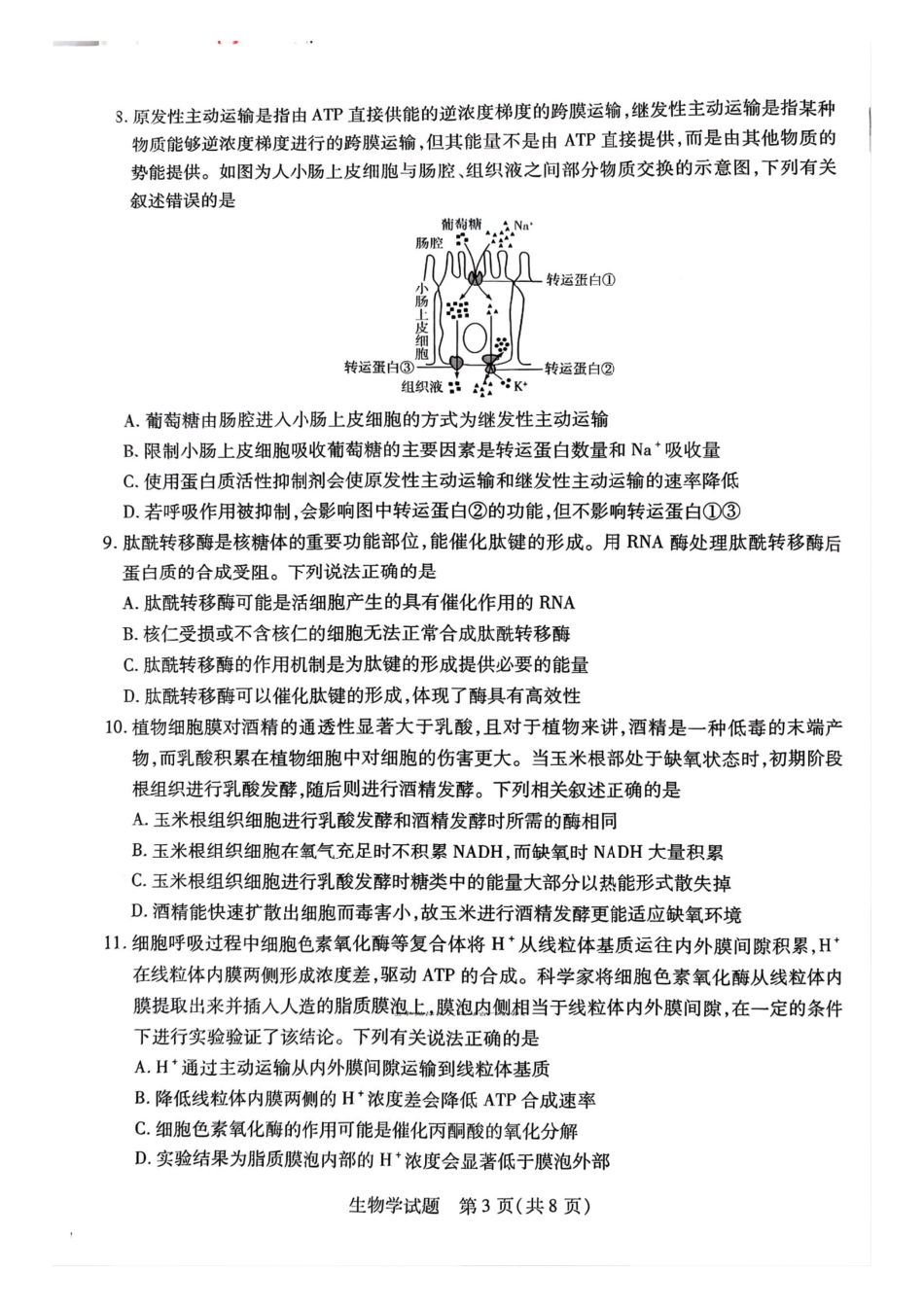 天一大联考2025-2026学年(上)高三年级顶尖计划(一)生物.pdf_第3页