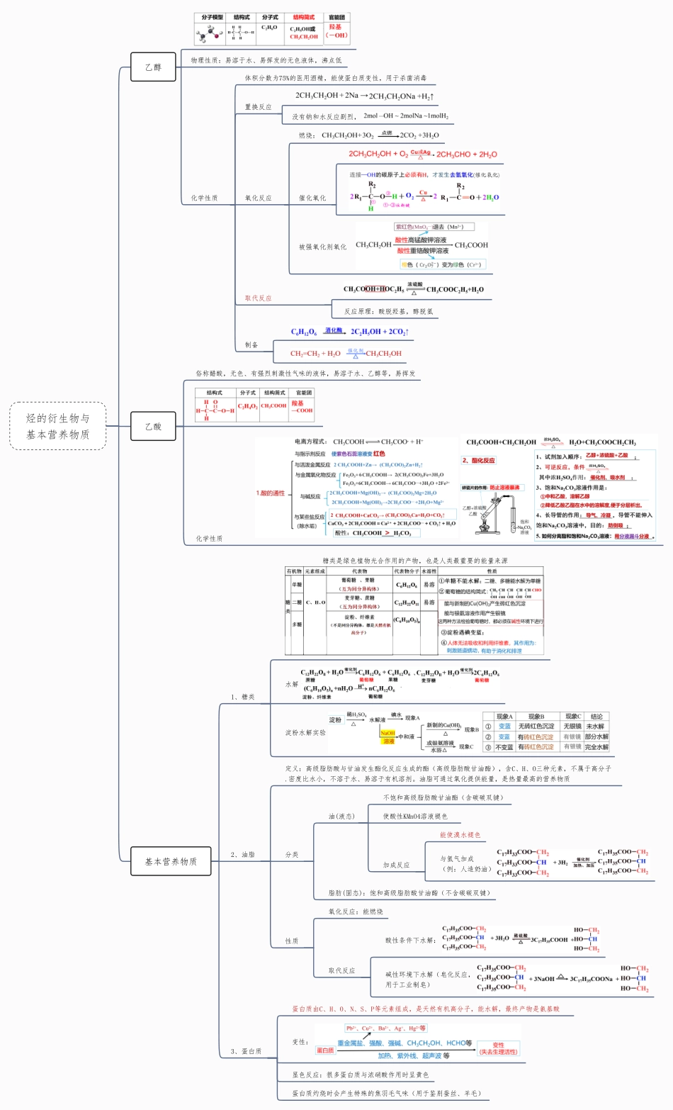 烃的衍生物与基本营养物质-高中化学复习思维导图(新教材专用).pdf_第1页