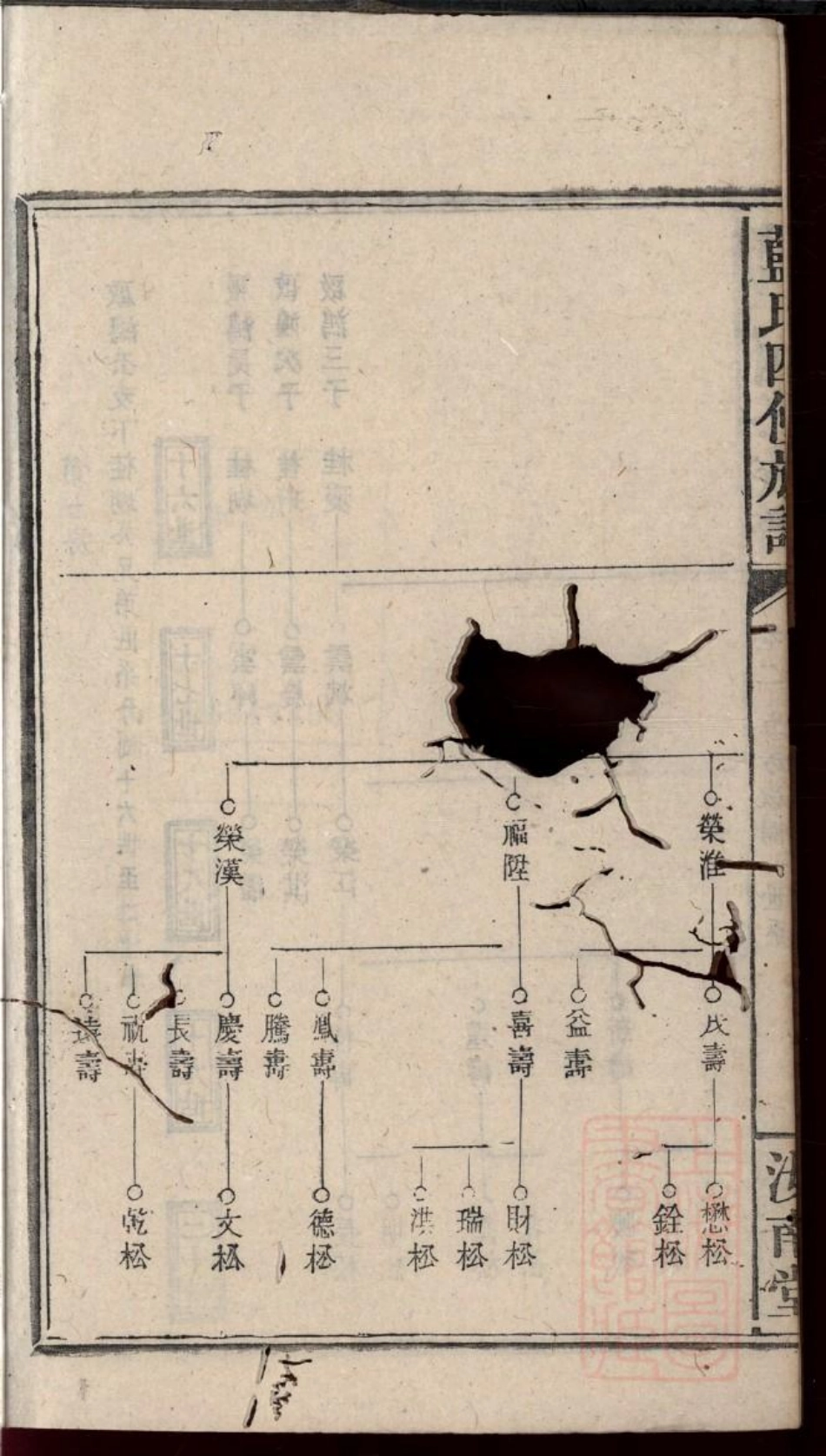 0384蓝氏四修族谱_003.pdf_第3页