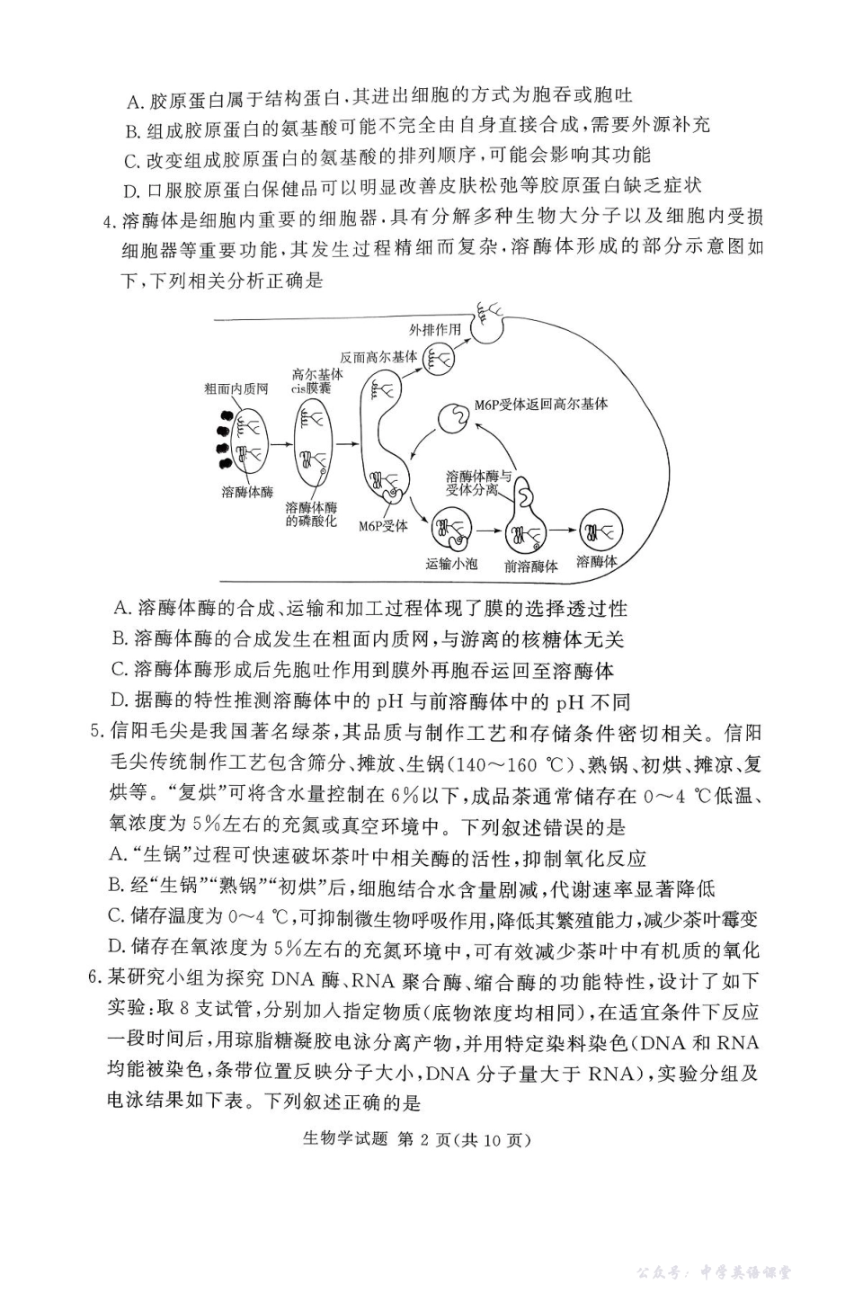 湘豫名校联考2025年11月高三一轮复习诊断考试生物.pdf_第2页