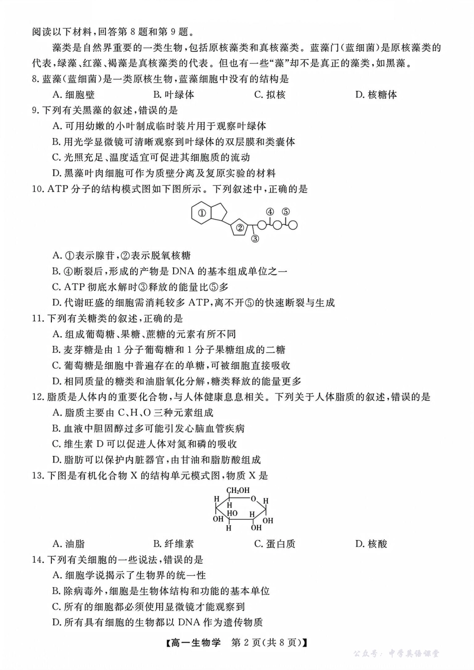浙江省卓越高中联盟2025-2026学年高一上学期11月期中联考生物试题.pdf_第2页