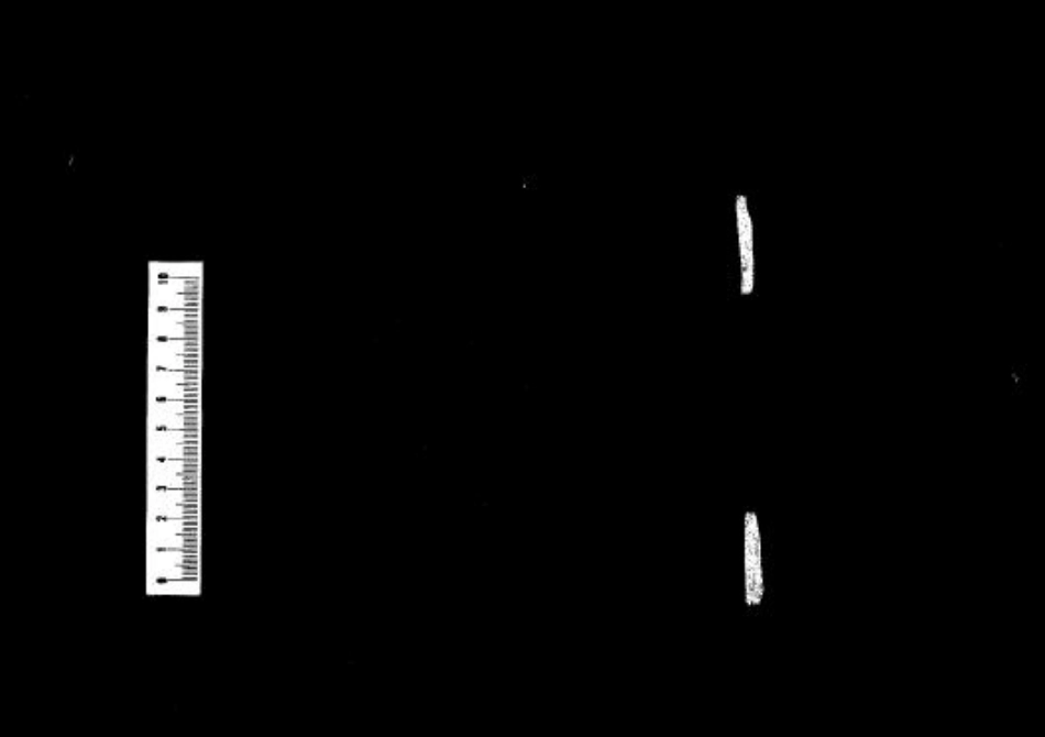 2250毕氏家乘一卷南村毕氏家谱一卷_001.pdf_第3页