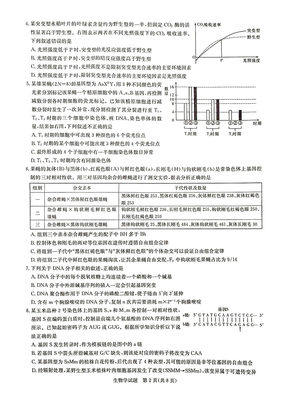 2024届高三第一次学业质量评价(T8联考)生物试题.pdf_第2页