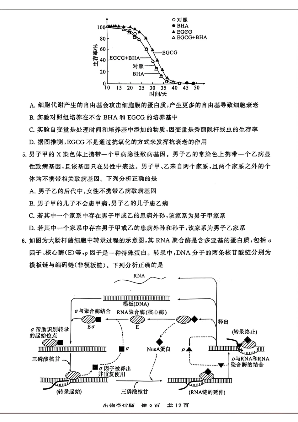 八省八校T8联考2024届高三下学期3月第二次学业质量评价试题生物含解析.pdf_第3页