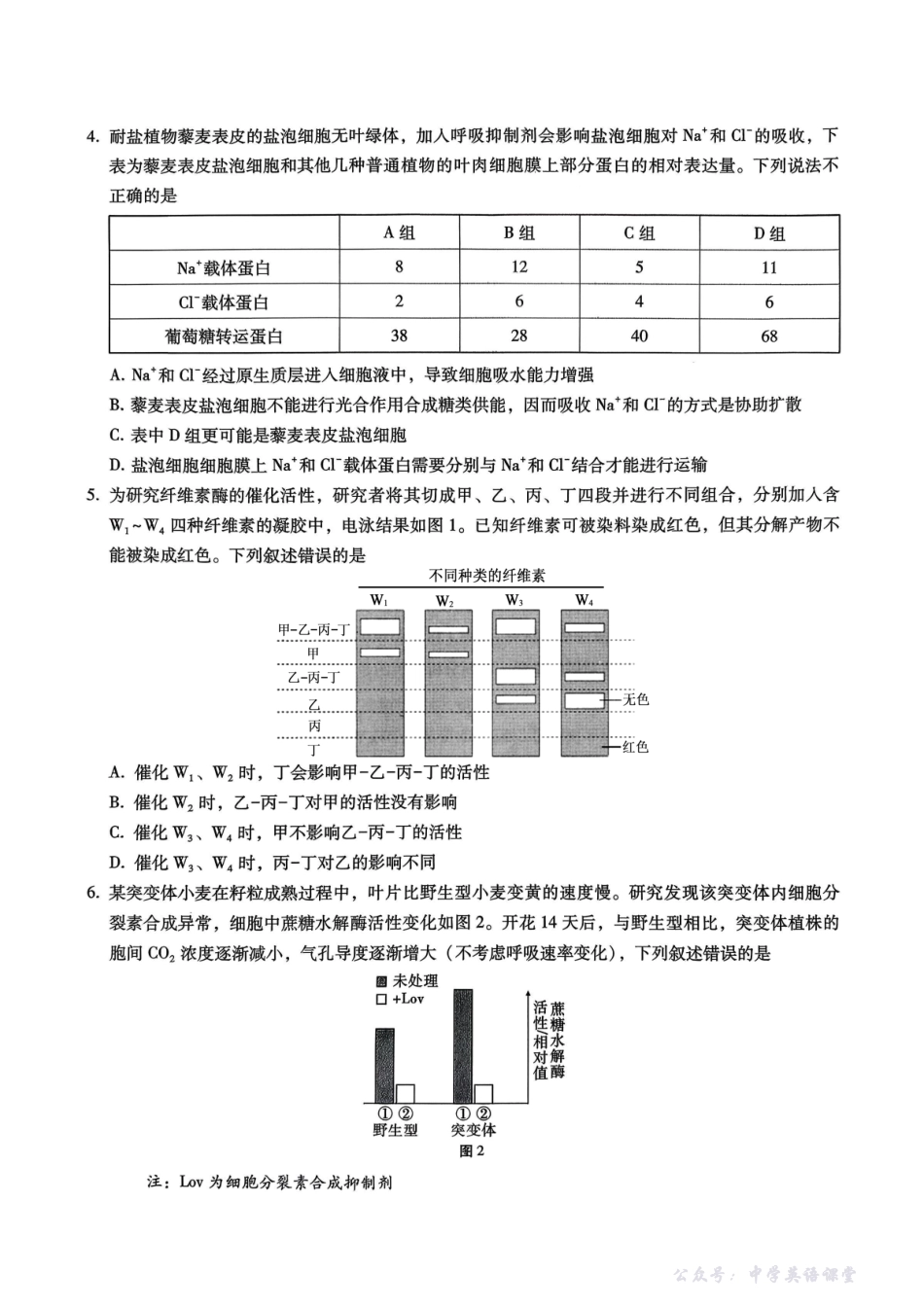 巴蜀中学2026届高考适应性月考卷(四)生物.pdf_第2页