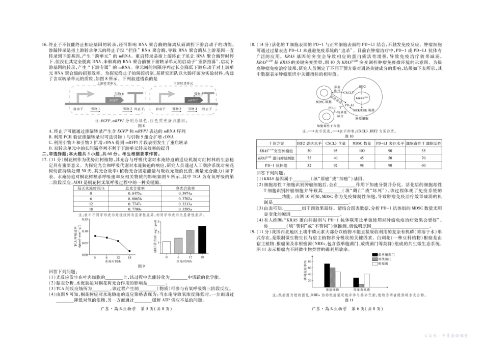 广东省2025—2026学年领航高中联盟高三毕业班模拟考试生物.pdf_第3页