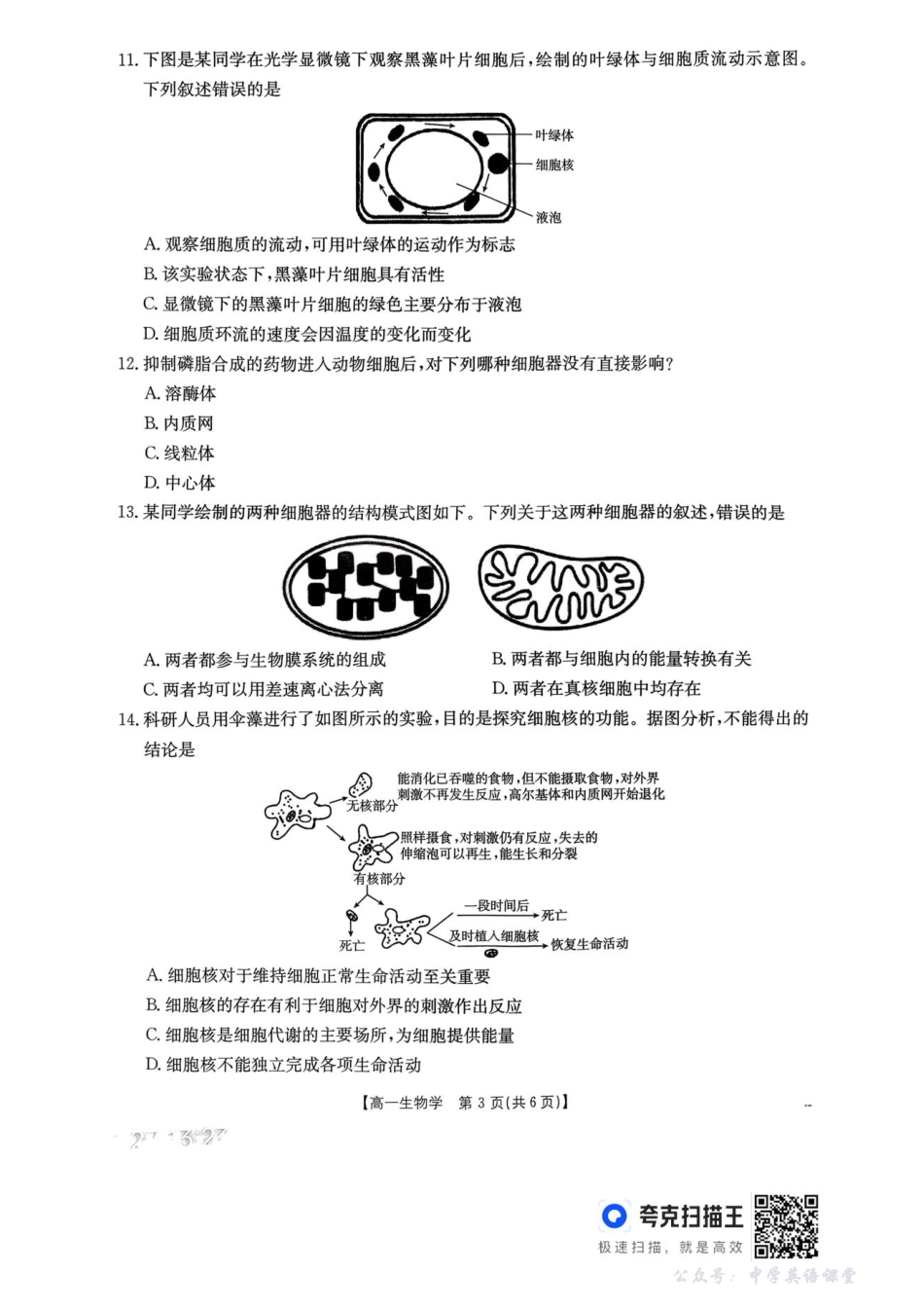 河南省金太阳联考2025-2026学年高一上学期期中考试生物学试卷含答案.pdf_第3页