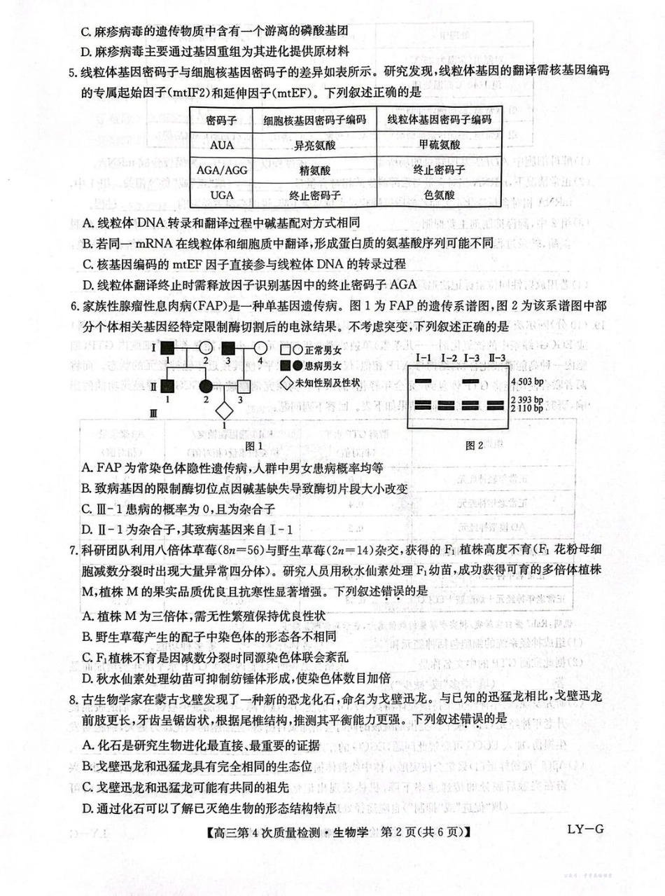 河南省九师联盟2026届高三上学期12月联考生物.pdf_第2页