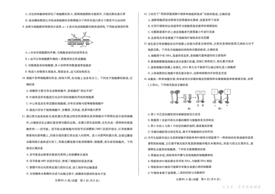 河南省天一大联考2025-2026学年高一上学期11月期中检测生物试题（A）含答案.pdf_第2页