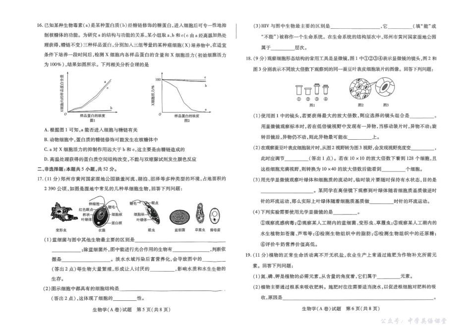 河南省天一大联考2025-2026学年高一上学期11月期中检测生物试题（A）含答案.pdf_第3页