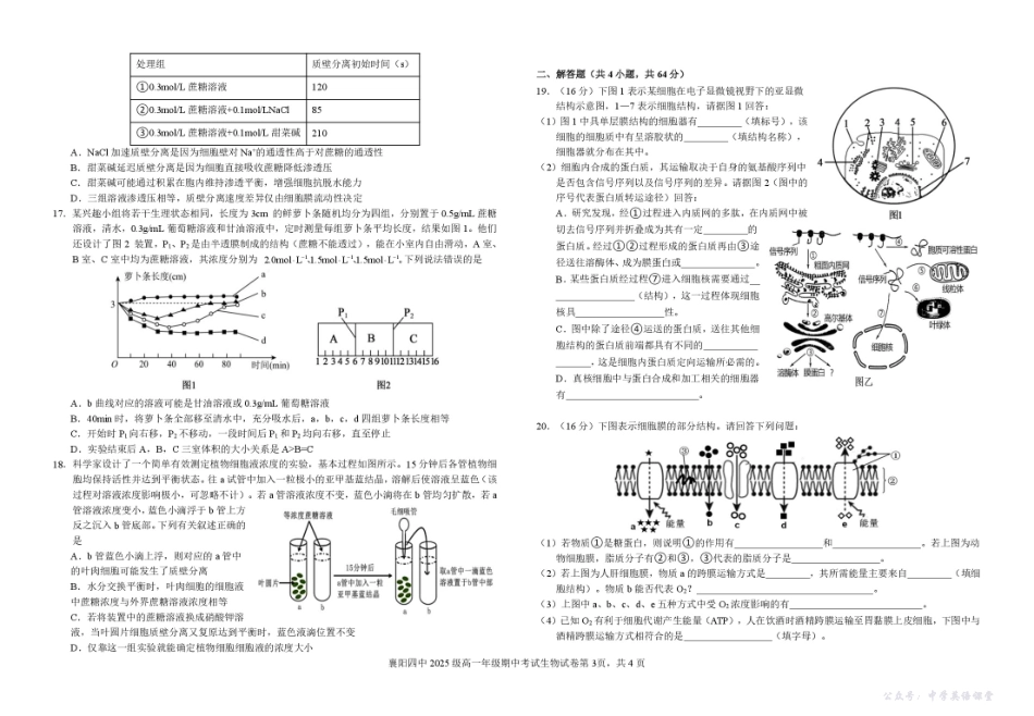 湖北省襄阳市第四中学2025-2026学年高一上学期11月期中考试生物试题(含答案).pdf_第3页