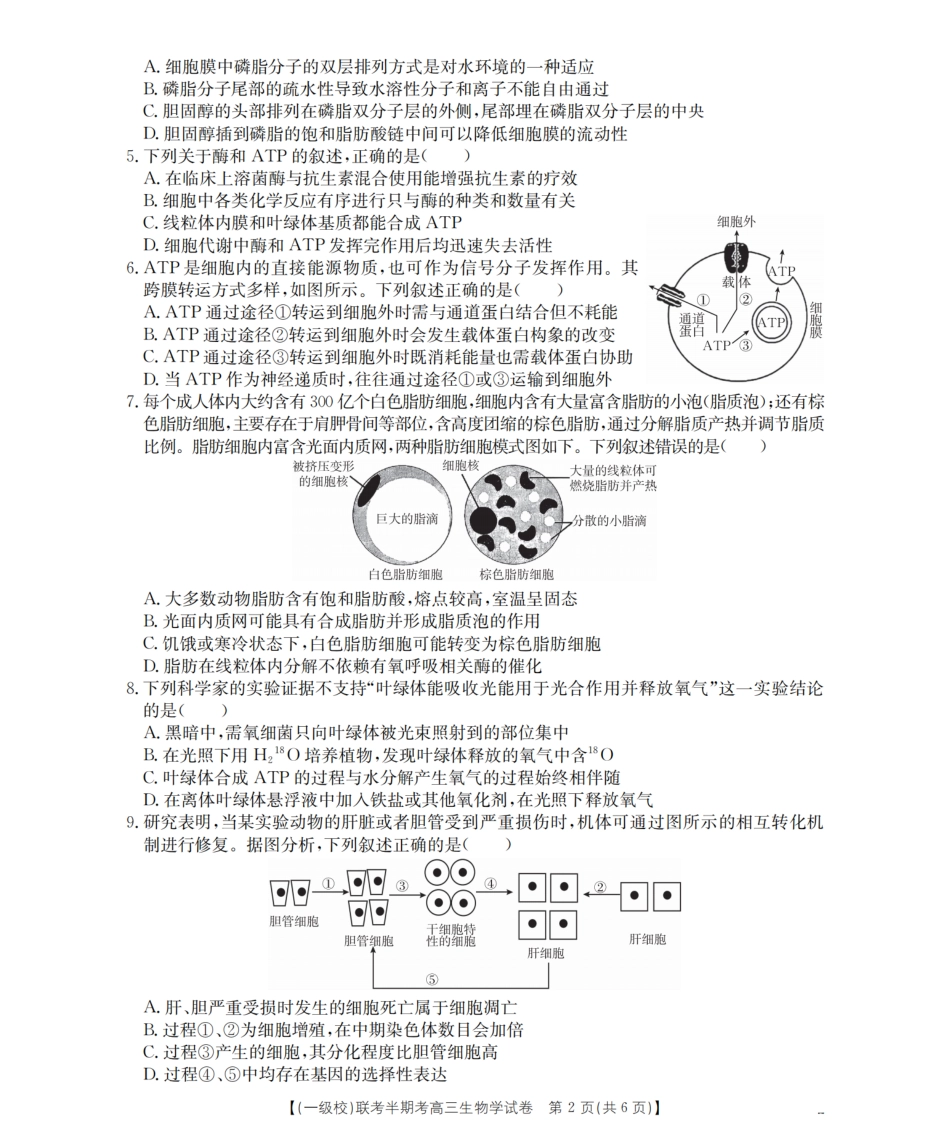 生物试卷(26-96C)福建省龙岩市一级校联盟2025-2026学年第一学期高三上学期半期考联考（26-96C）（11.26-11.27）.pdf_第2页