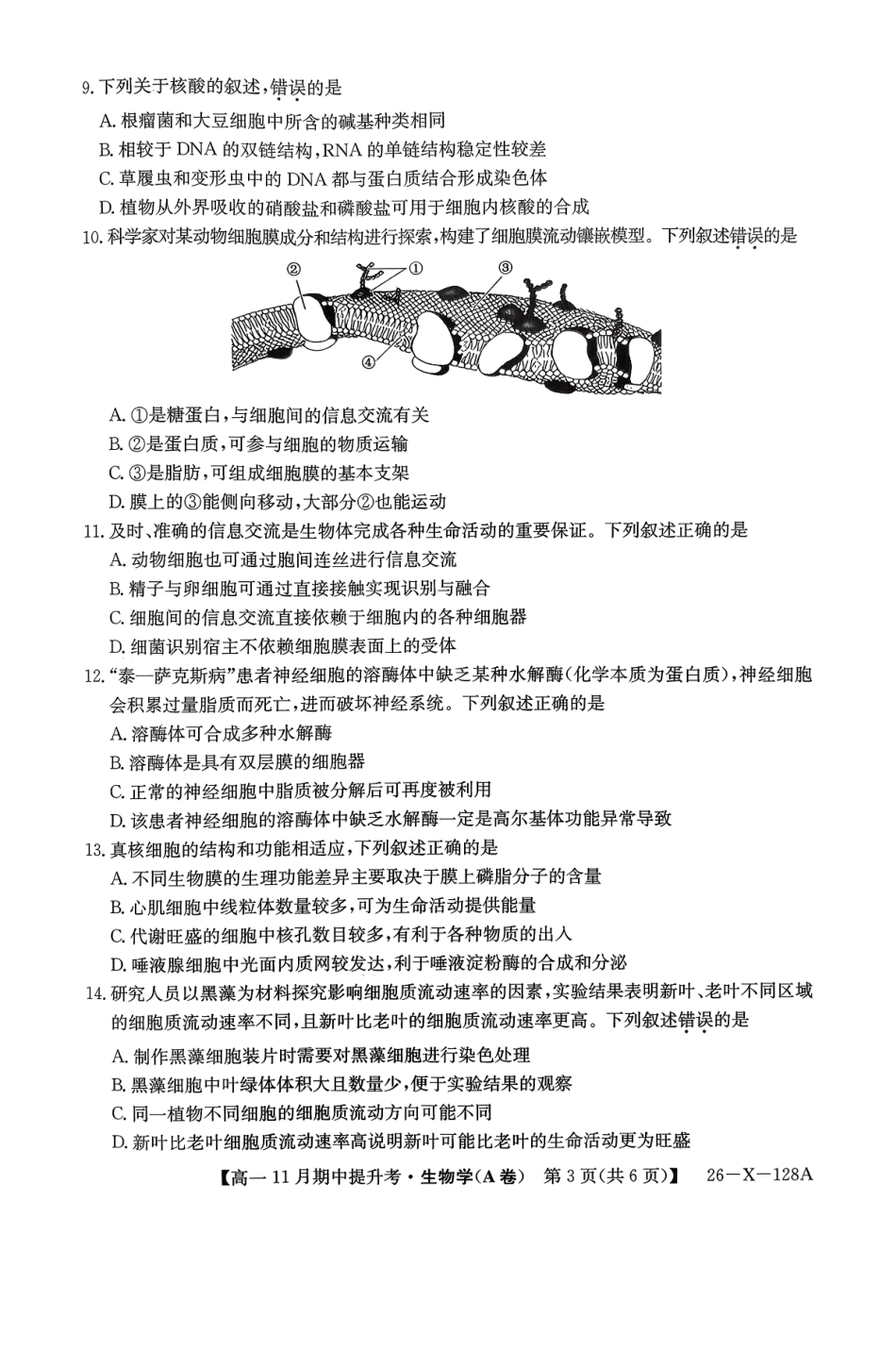 生物试卷(A卷)【高一】山西省三晋卓越联盟2025-2026学年高一11月期中提升考(26-X-128A)(11.18-11.19)(1).pdf_第3页